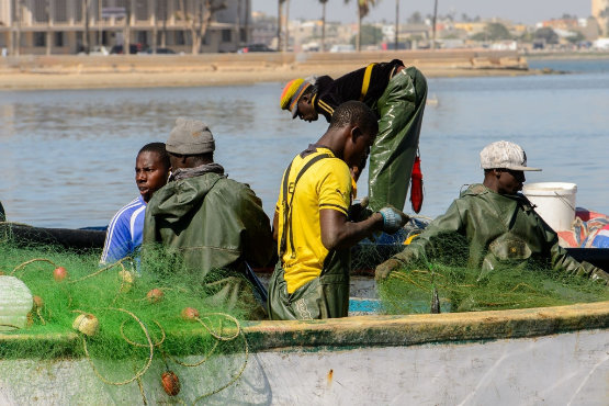 Senegal-fishing-net
